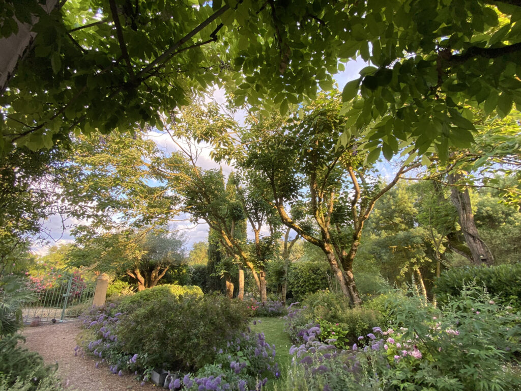 Dans un Domaine fortifiée médiéval, maison en pierres avec 249m2 habitables avec jardin privatif et paysagé